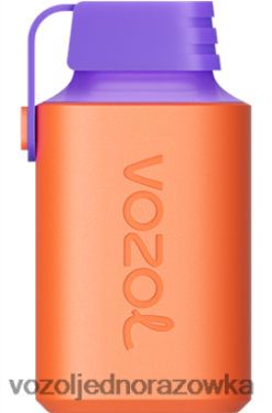 VOZOL E Papieros - VOZOL GEAR 600 NDP6VB360 lód jeżynowy