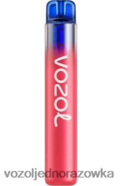 VOZOL Polska - VOZOL NEON 800 NDP6VB283 lód jagodowy