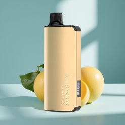 Alibarbar Ingot 9000 Puffs 22ml 2350mAh Mango Magia