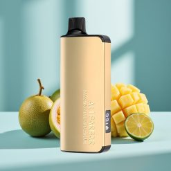 Alibarbar Ingot 9000 Puffs 22ml 2350mAh Marakuja Mango Limonka