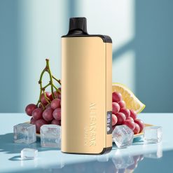 Alibarbar Ingot 9000 Puffs 22ml Lodowy Winogronowy vape shop Poland